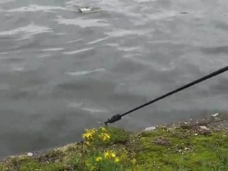 La Team Sans As contre vents et marées