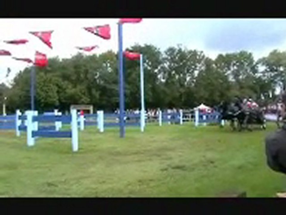 Conty : mondial d'attelage, le spectaculaire marathon