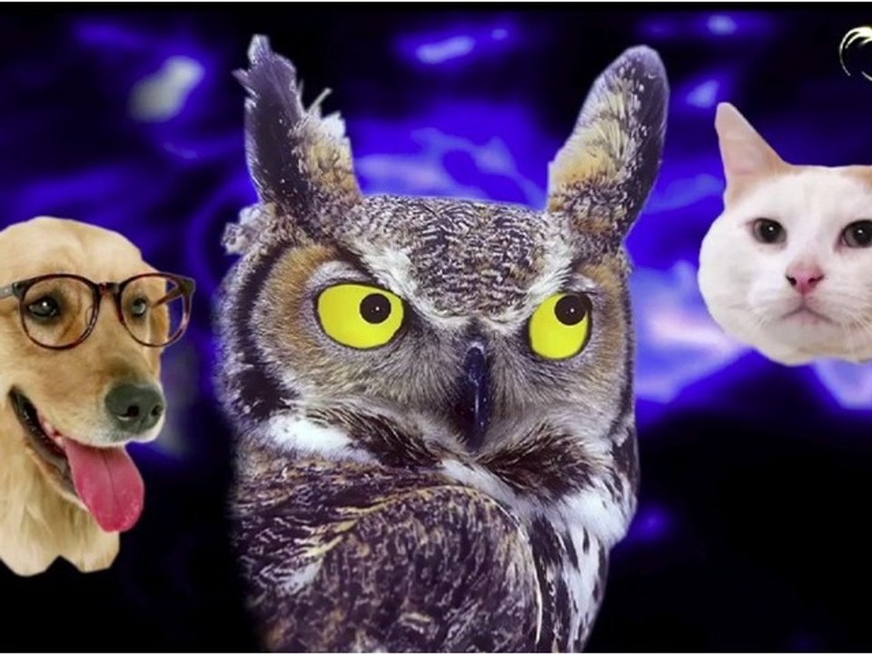 Conspiracy Theory : Tasteless Jokes