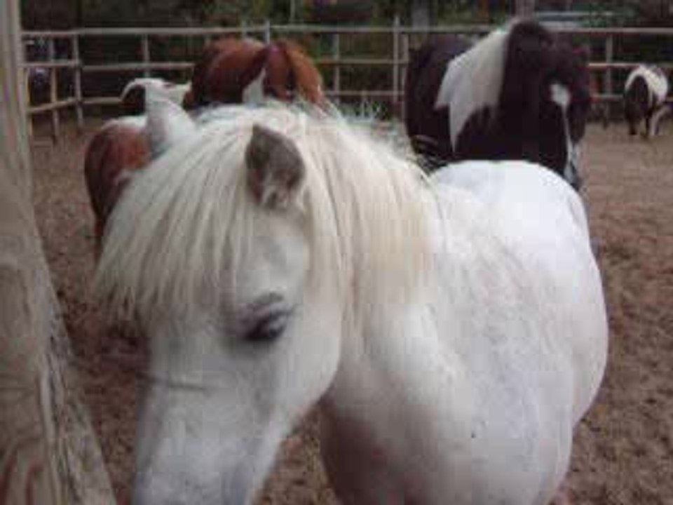 Photo 083