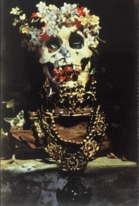 The Beautiful South  Don' t Fear The Reaper