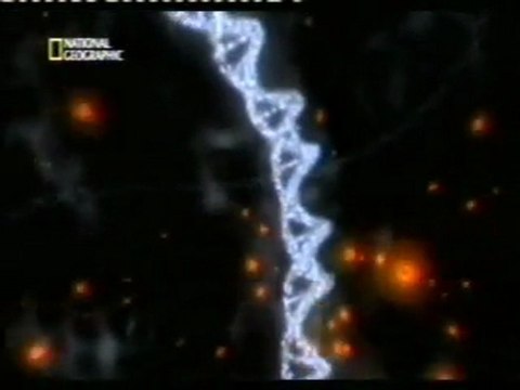 Bomba sucia: Los efectos de la radiacion