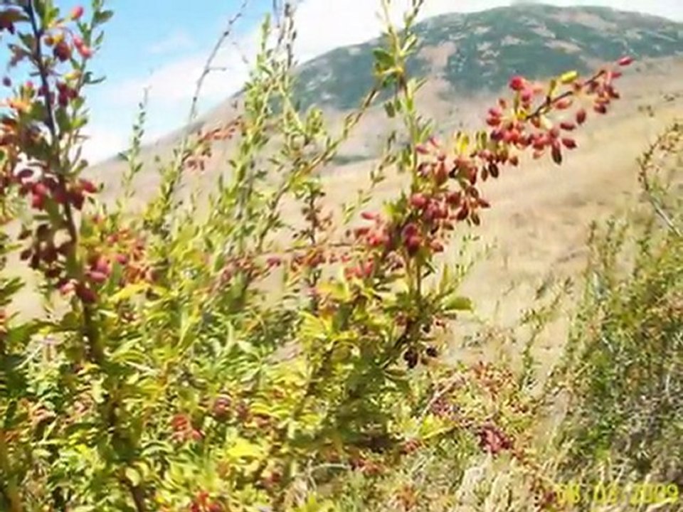 Yıldız Beldesi    Yıldız Dağı  SİVAS