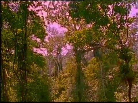 Υπερκινητικός Δάσκαλος~Τα μεγάλα θαύματα του κόσμου~Αμοζόνιος~Γκραν Κάνυον