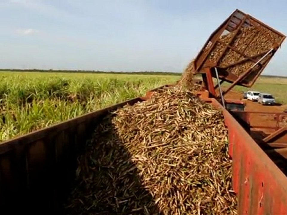 Cuba : les petits entrepreneurs privés font des affaires