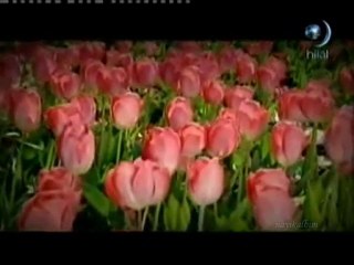 SALAVAT Zara - S.Demirci - E.Noyan hilaltv