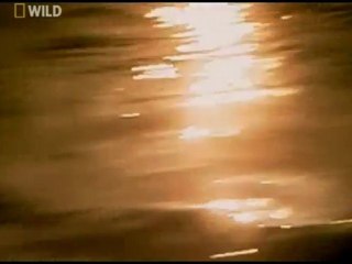 NG | Bilimin Ta Kendisi: Tehlikeli Göller