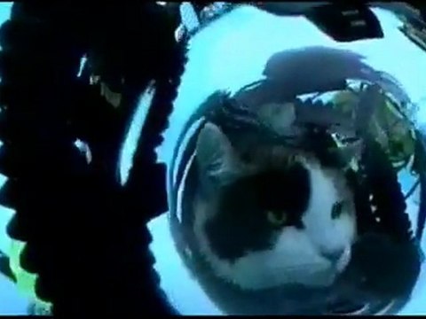 Consumer Credit Counseling Vestavia Hills AL call 1-800-254-4100