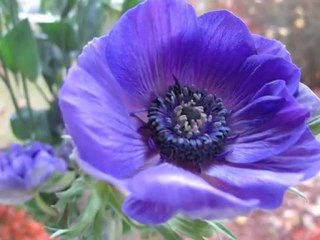 Hüner Coşkuner _Geceler yarim oldu_ 1