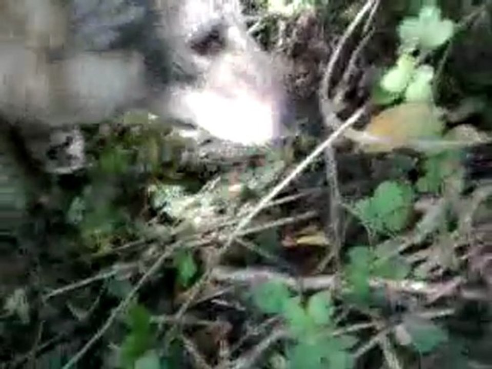 Vidéo0073