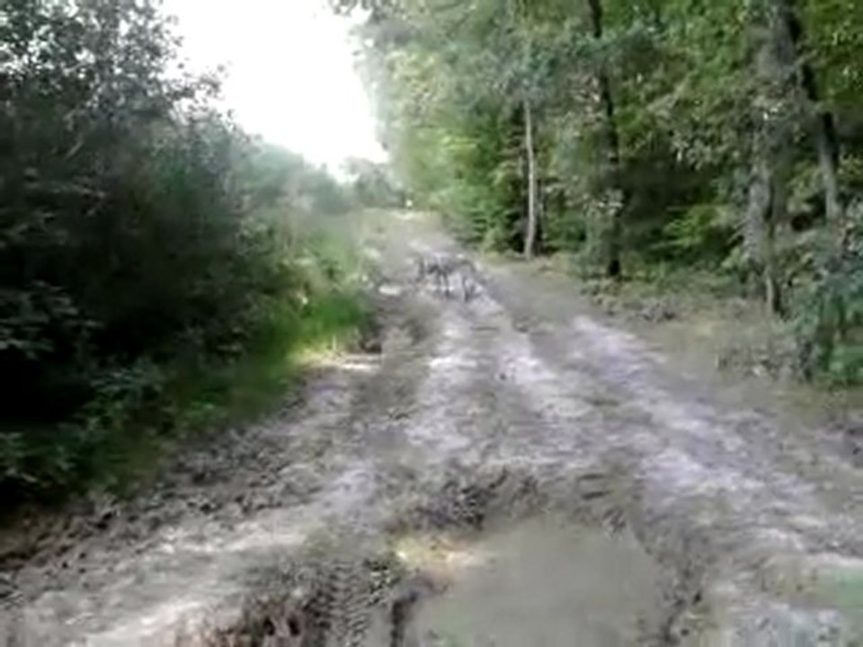 Vidéo0079