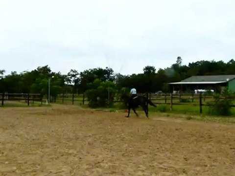 ubiscus essais monté galop