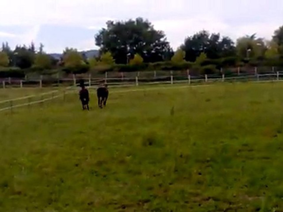01092011089 vid1