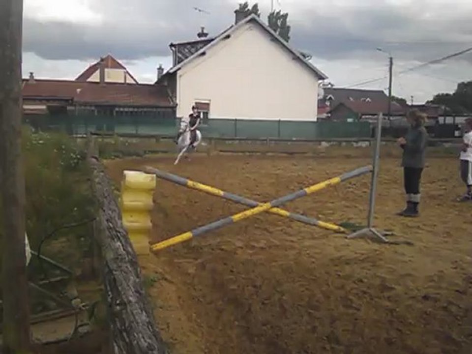 Saut d'obstacles - Milka & Moi