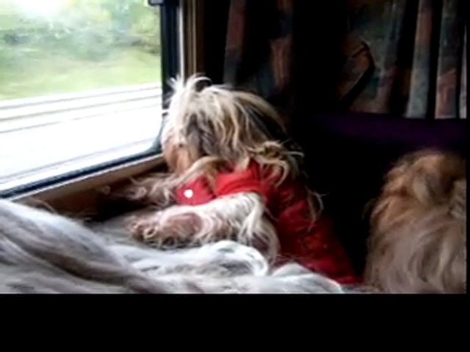 super le camping car!!!