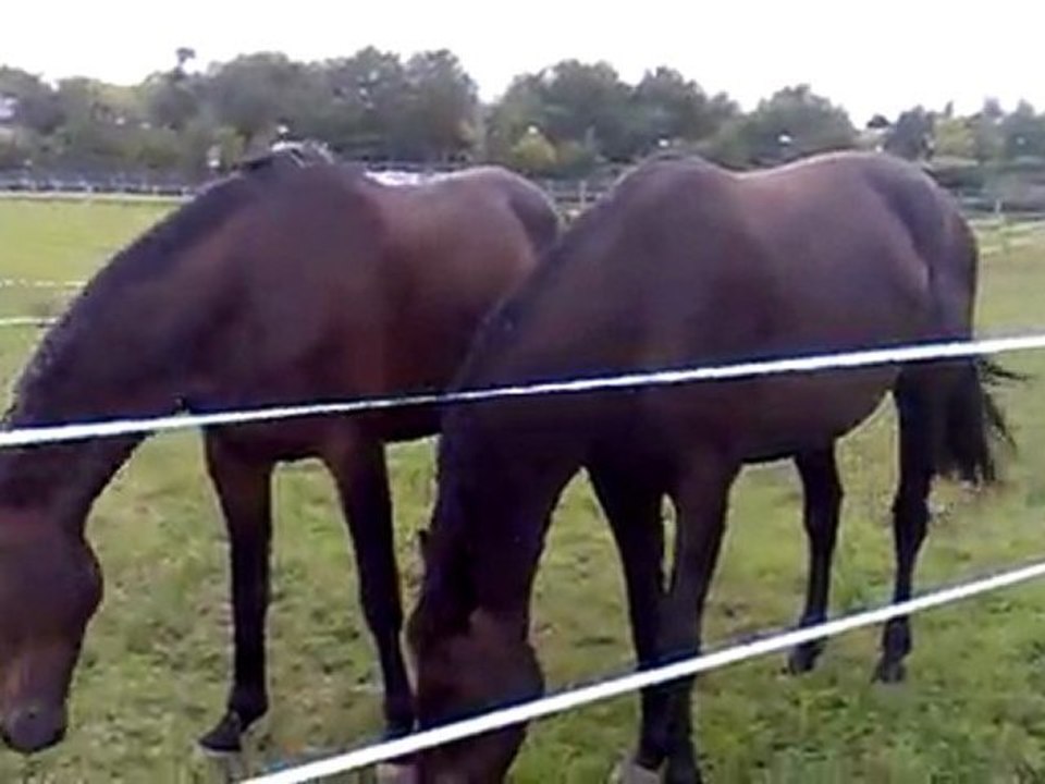 01092011090 vid 2