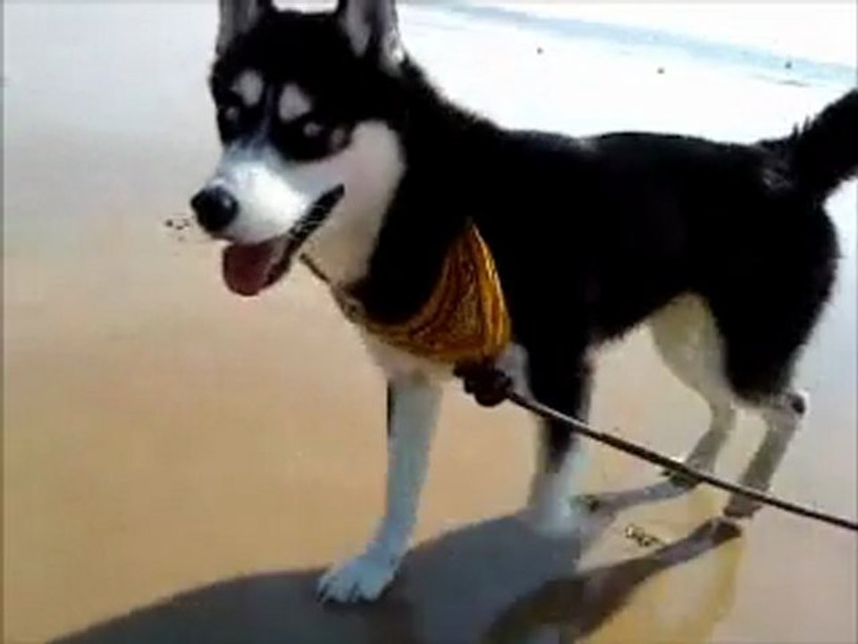 Neige & Erolaï Aux Dunes De Biville