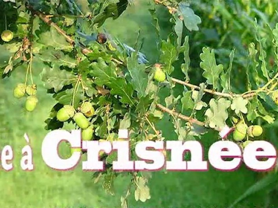 A vos cahiers.!!!!..La rentrée à Crisnée...