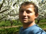Franck, producteur Potager City dans le Rhône, vous fait découvrir ses cerisiers
