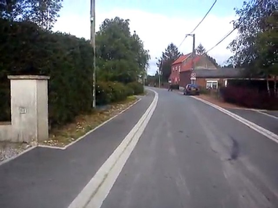 duck in the trottipoket