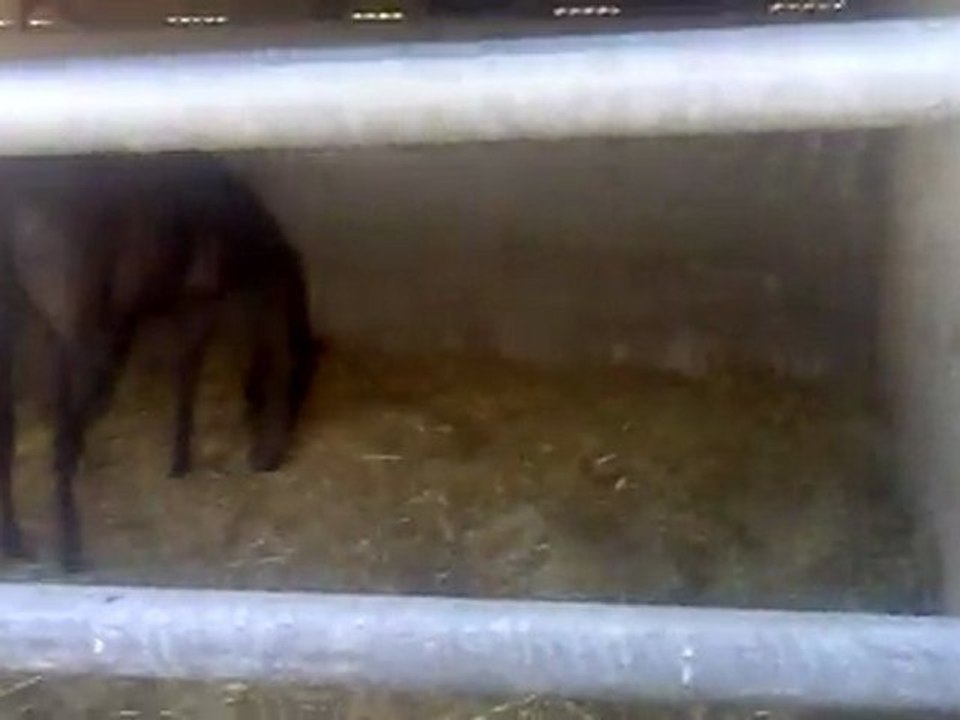 01092011095 vid5