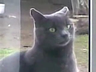 Саня ну открой!!!)))))