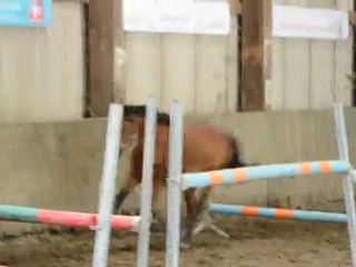 Ashley saut en liberté