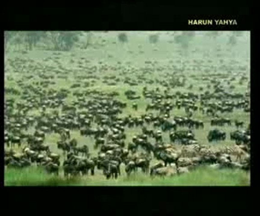 Yaşam enerjisi üreten fabrika nasıl çalışıyor ?