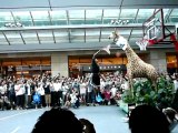 Dwight Howard Giraffe Dunk@Roppongi HIlls,Japan