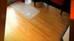 Hardwood Flooring Store | Acorn Wood Floors