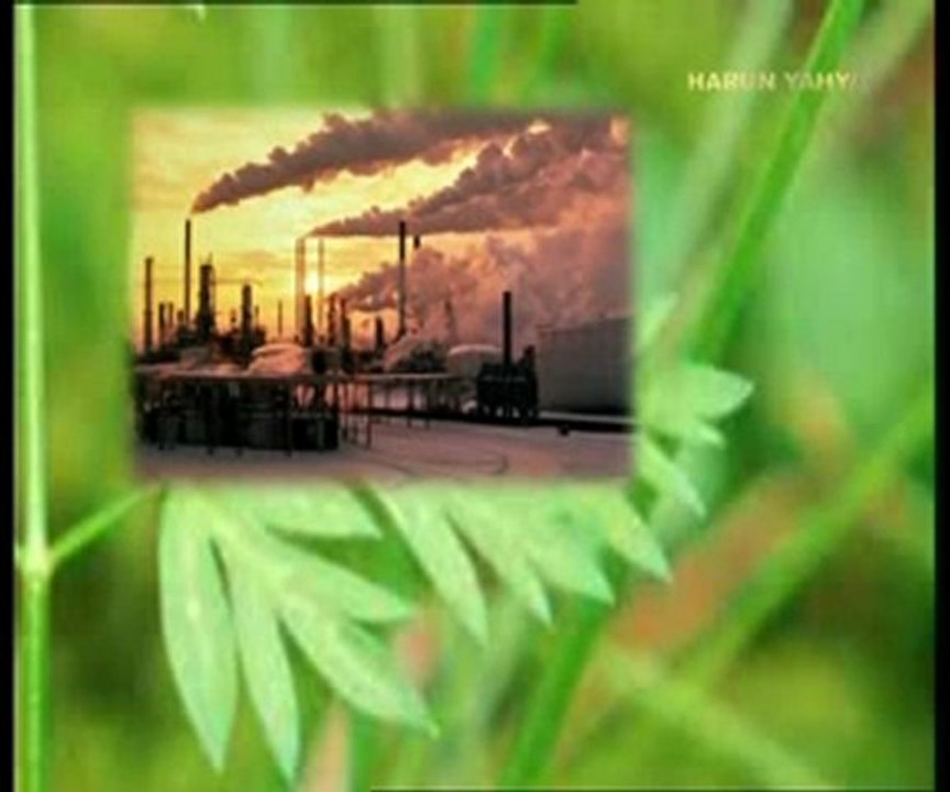 Bitkilerdeki fabrika nasıl çalışıyor?