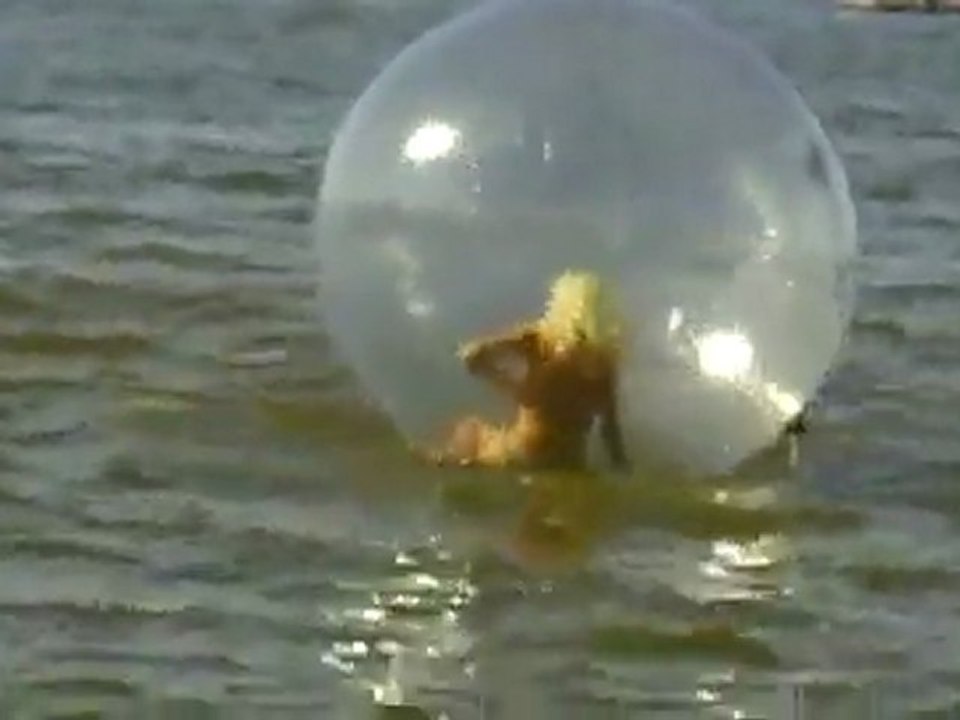 Blonde vs Sphere