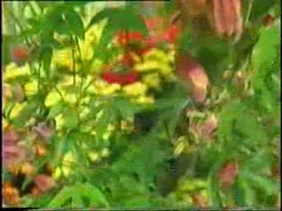 Tat alma sistemindeki muhteşem tasarım 2