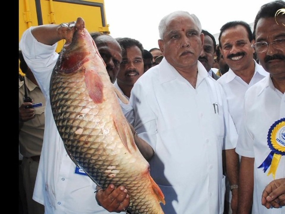 Yedyurappa Doing Things