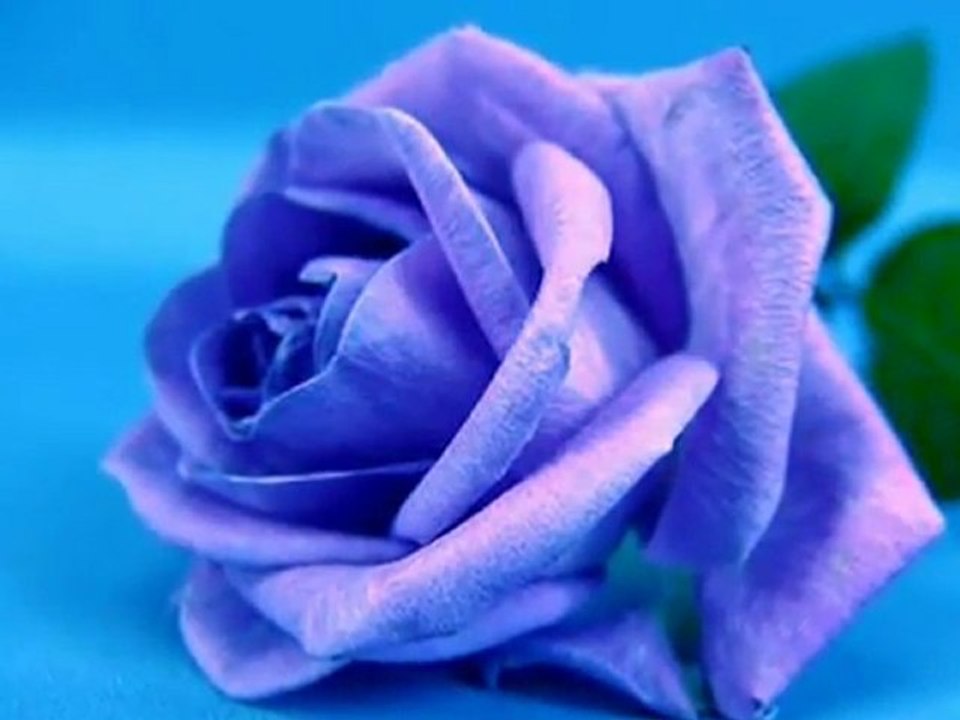 MOTIVOS "Luis Miguel"  {Miros Mar}¸¸.•*¨*• ♪♫