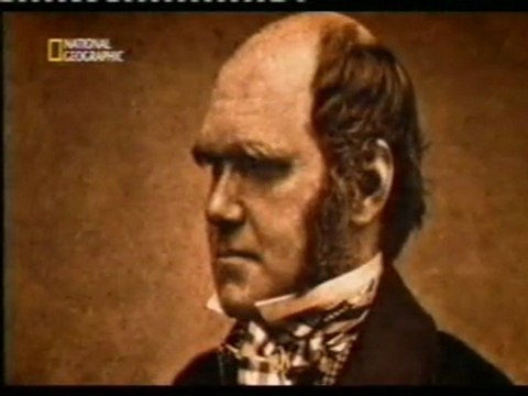 Darwin: El origen de las especies (7)