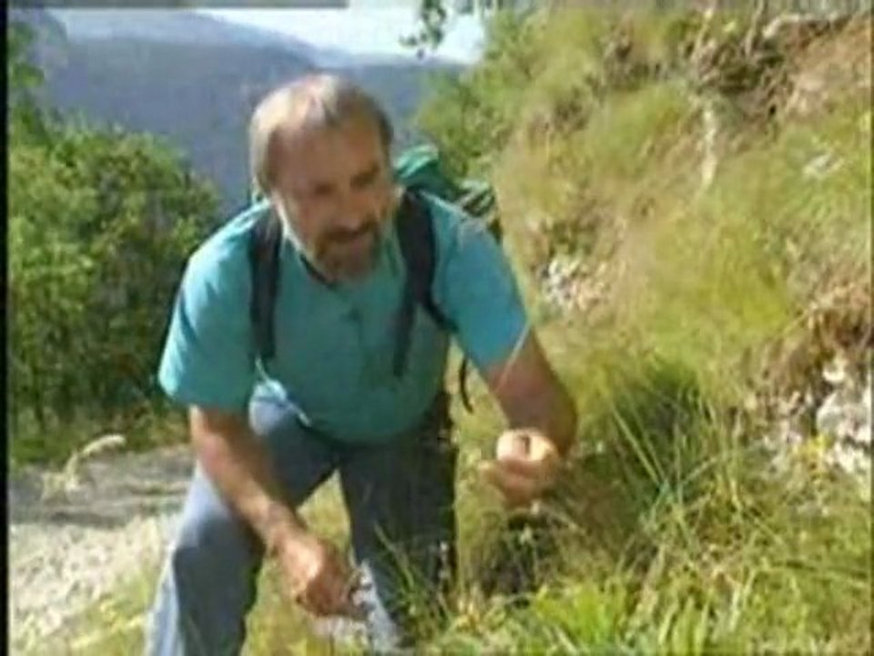 4 randonnées dans les Alpes du Sud