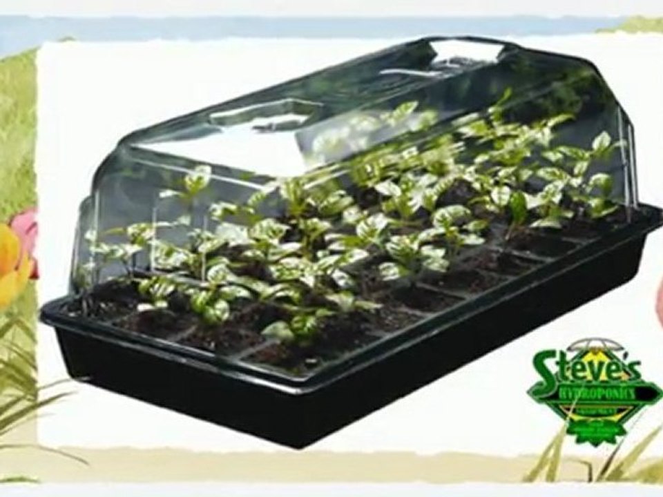 Hydroponics Halifax | Propagation By Cloning