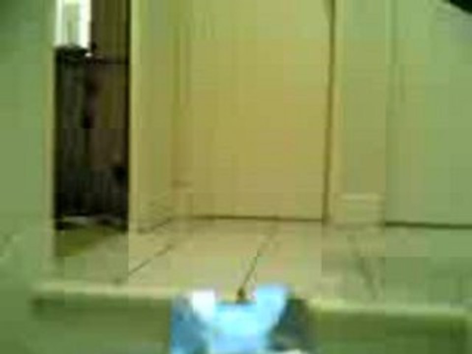 gun