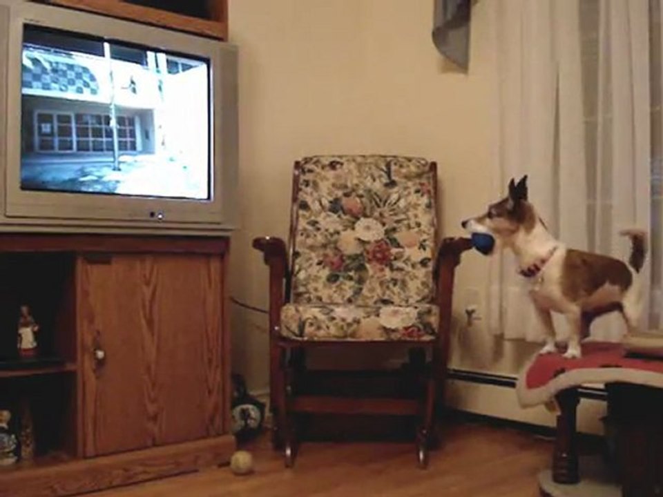 Maggie_0001