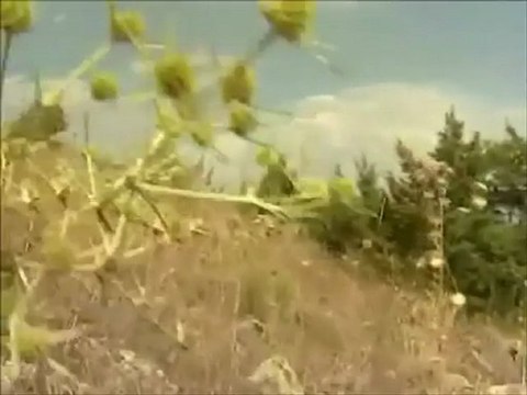 Thm Sanatçısı Selda Eşgin& UZUN HAVA(SEVDAMIZ TOKAT)