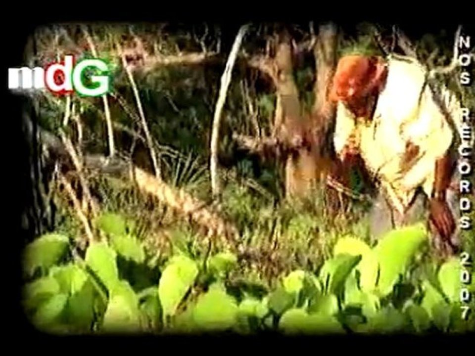 Changer d'air - 201 CREW (2007)