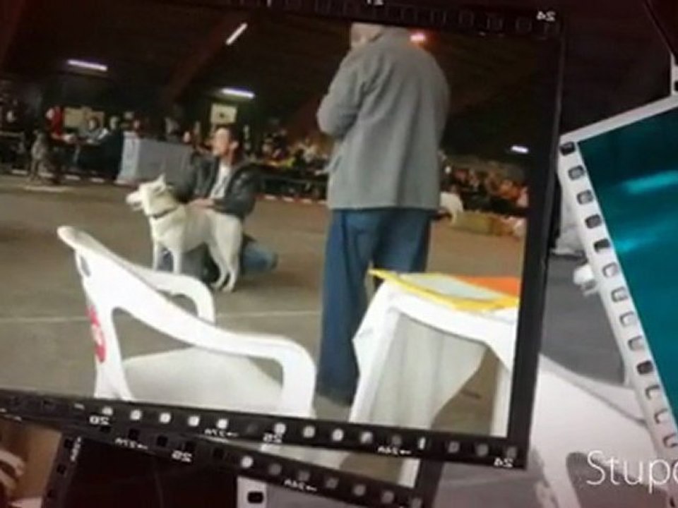 concours hannut 2010