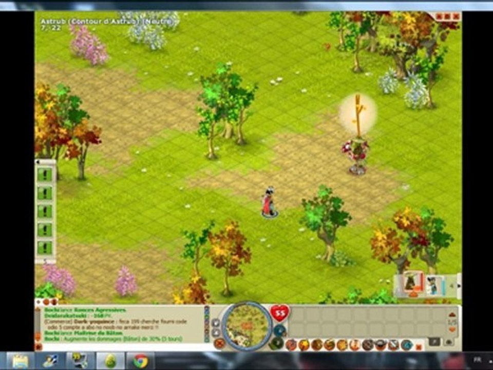 Dofus Par Bochi