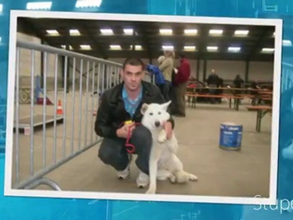 concours wavre 2010