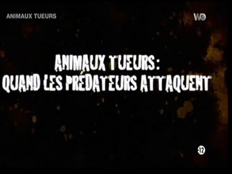 Animaux tueurs, quand la cage s'ouvre (1/2)