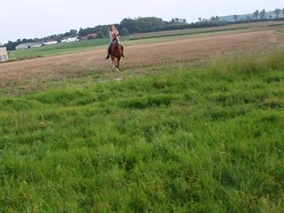 Ma Flicka qui veut me jerter ^^♥♥