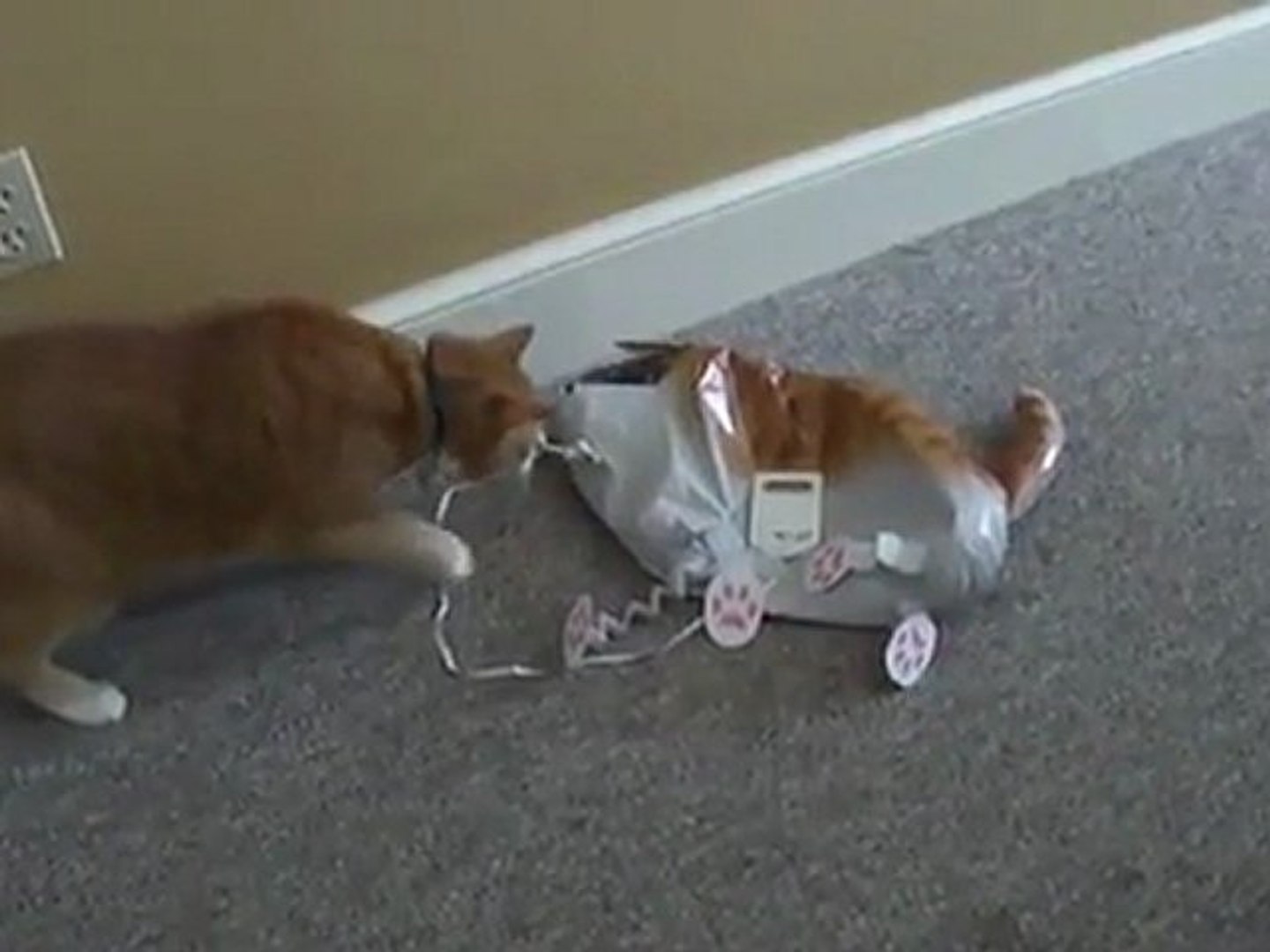Cat Vs. Cat Balloon