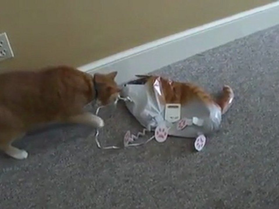 Cat Vs. Cat Balloon