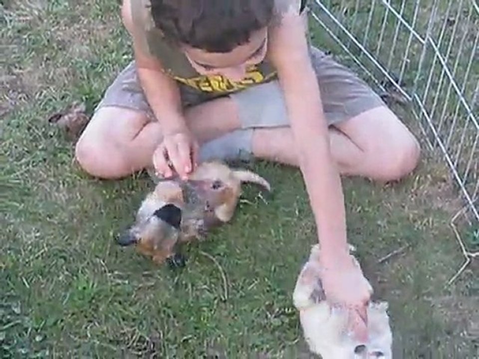 Giulietta & Goliath adore mon fils